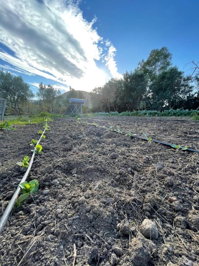 Agriturismo Casa Marmida Pardu Atzei ภายนอก รูปภาพ